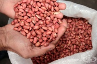 ������� ������� � ���� �� ���� ������ ���������� �����